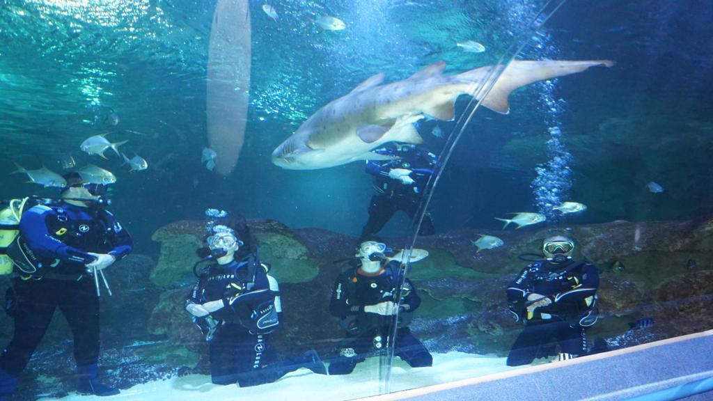 Blue Planet Club Visit